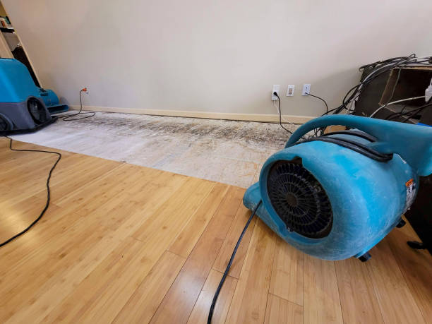 Professional Water Damage Repair technician working in Wilkeson, WA